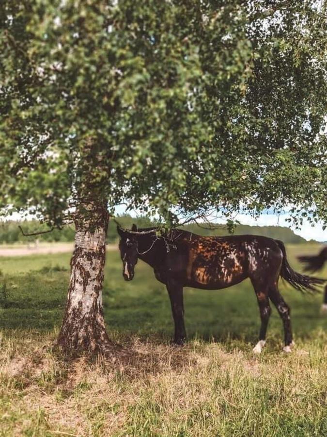 Stamerienas Apartamenti Exteriör bild