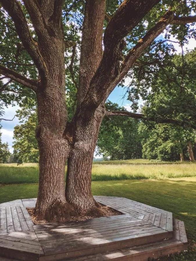 Stamerienas Apartamenti Exteriör bild